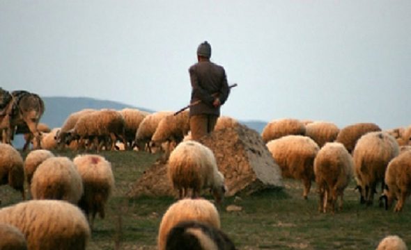 halk-egitim-merkezinden-suru-yonetimi-kursu